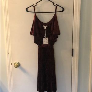 Size Medium Burgundy Velvet Dress